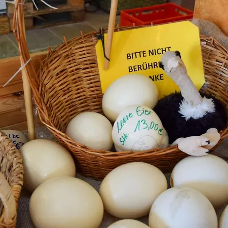 公寓 Straussenfarm Burkhardt