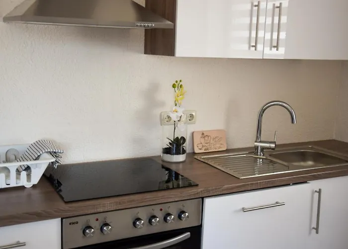 Straussenfarm Burkhardt Schmölln