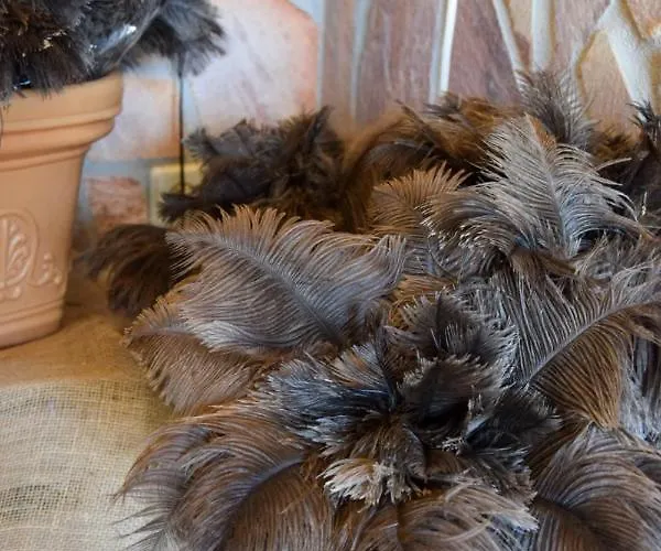 Straussenfarm Burkhardt * Schmölln