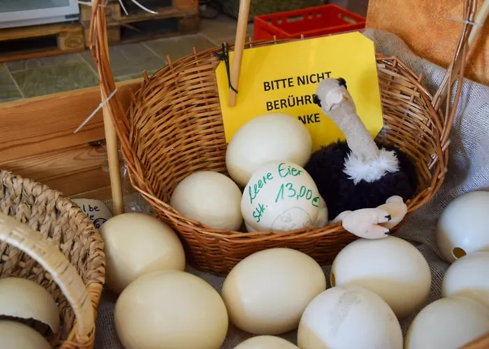 Appartement Straussenfarm Burkhardt